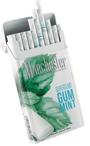 Manchester Superslims Gum Mint naneli sakız aromalı superslim sigara paket görseli