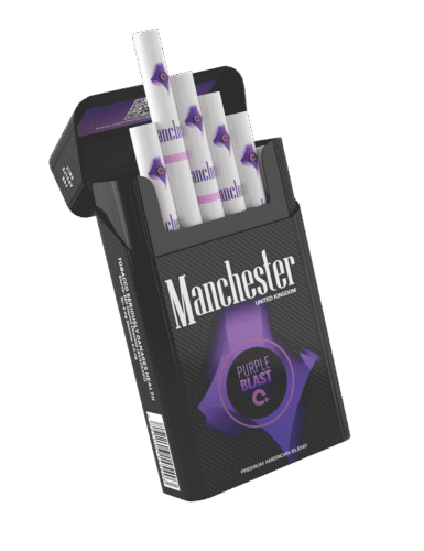 Manchester Queen Compact Purple Blast – Orman Meyveleri