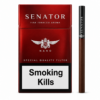 Senator Nano Pipe Tobacco Sigara, pipo tütünü aroması ve yumuşak içim yapısıyla farklı ve premium bir sigara deneyimi sunuyor.