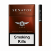 Senator Nano Coffee Sigara Kahve Aromalı, yoğun kahve aroması ve yumuşak içim karakteriyle premium aromatik slim sigara deneyimi sunuyor.