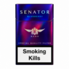 Senator Nano Blueberry Slim Sigara, yoğun yaban mersini aroması ve hafif içim karakteriyle premium aromatik slim sigara deneyimi sunuyor.